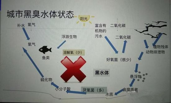 江蘇億元投資治污新技術(shù) 石墨烯能否治理黑臭水體？