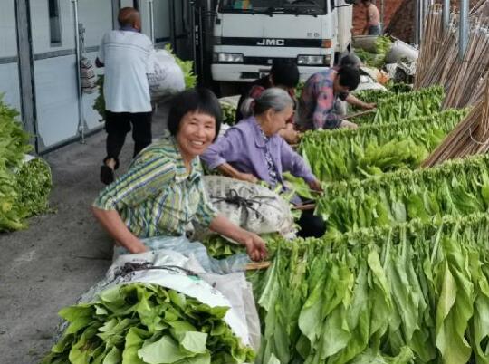 國網(wǎng)新田縣供電公司助力貧困村脫貧致富