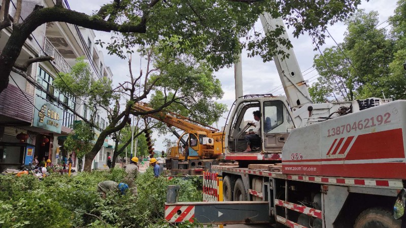 國網南豐縣供電公司：線路整治，備戰(zhàn)迎峰度夏