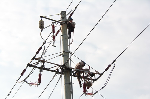 國(guó)網(wǎng)霞浦供電公司加裝線路避雷器，保障兩節(jié)期間電網(wǎng)可靠性