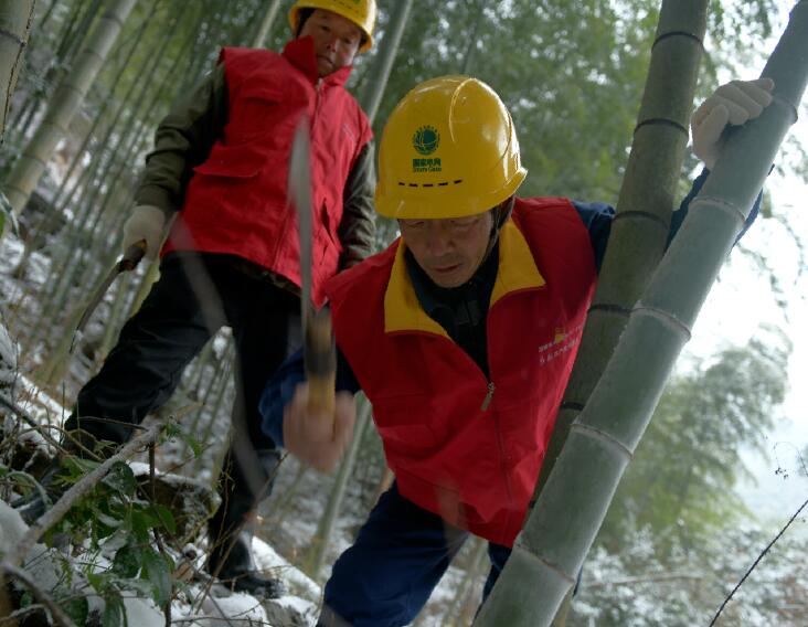 國網(wǎng)余姚市供電公司：入冬雪來襲 逆行保供電