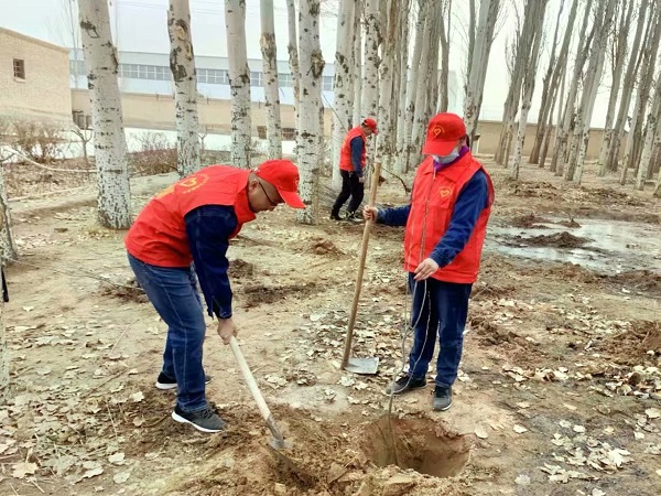 新疆兵團(tuán)一師電力玉爾滾供電所開(kāi)展植樹活動(dòng)