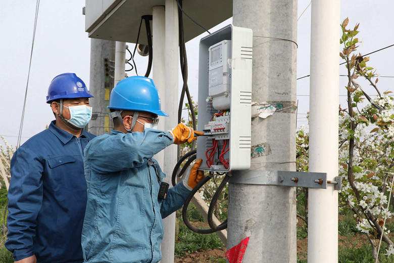 國網(wǎng)諸城市供電公司電力足，千畝梨園花正濃