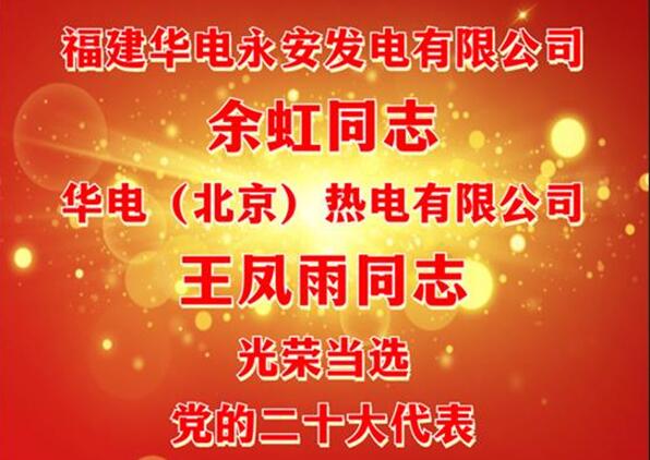 中國華電余虹、王鳳雨同志當(dāng)選黨的二十大代表