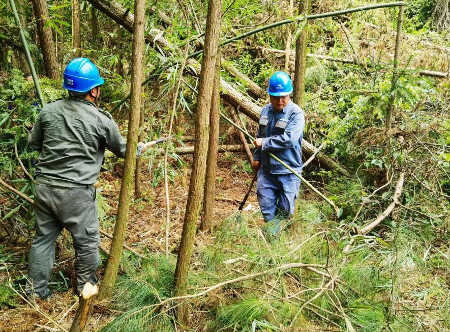 南方電網(wǎng)荔波供電局線路憂患如“猛獸”，通道清通要爭先