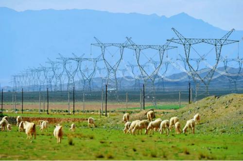 國網甘肅電力董事長談《新型電力系統(tǒng)與新型能源體系》