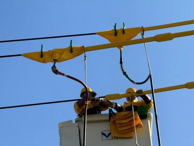 國網民權縣供電公司帶電作業(yè)迎戰(zhàn)秋老虎 消除設備隱患保供電