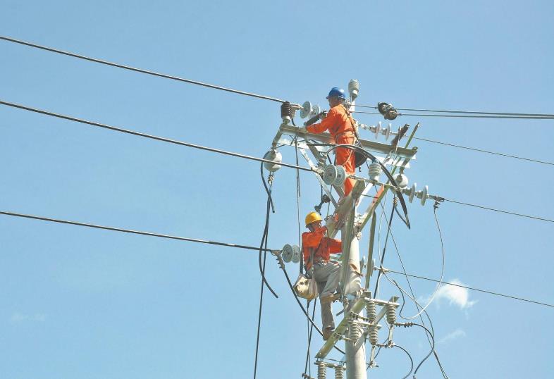 四川遂寧供電公司因地制宜幫扶鯉魚村