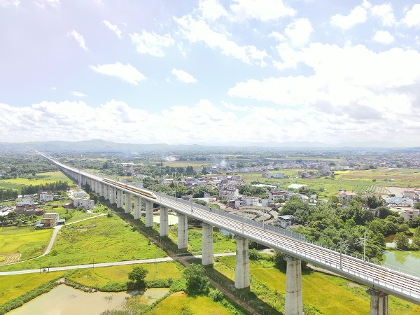 廣東鐵投集團聚焦高品質(zhì)綠色通道建設 全力打造梅龍高鐵綠美示范工程