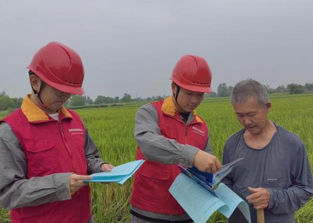 國網(wǎng)澧縣供電公司稻花香里說豐年 電力滿格助豐收