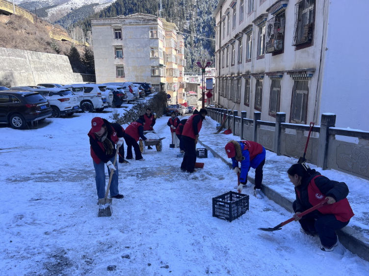 挺膺擔當志愿服務，清冰除雪保障安全