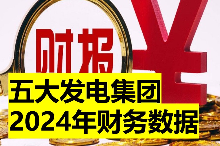 五大發(fā)電集團2024年財務(wù)數(shù)據(jù)