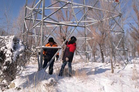 國(guó)網(wǎng)阜康市供電公司雪后清理樹障暢通電力通道